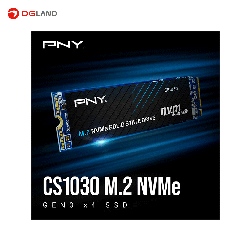 اس اس دی اینترنال پی ان وای مدل CS1030 M.2 NVMe ظرفیت 250 گیگابایت