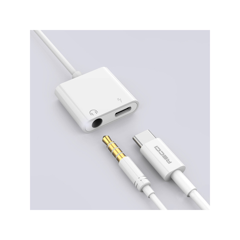مبدل جک 3.5 میلیمتری به Type C رسی مدل RDS-A02