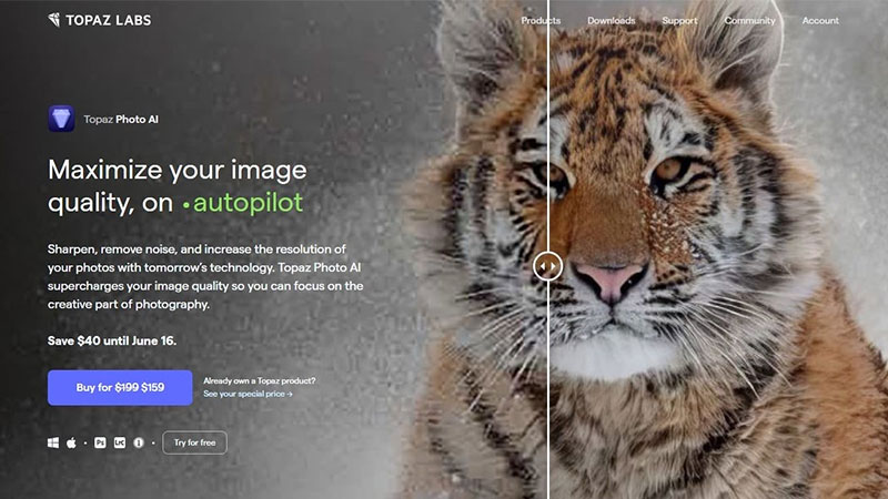 ابزار هوش مصنوعی Topaz Photo برای افزایش کیفیت عکس